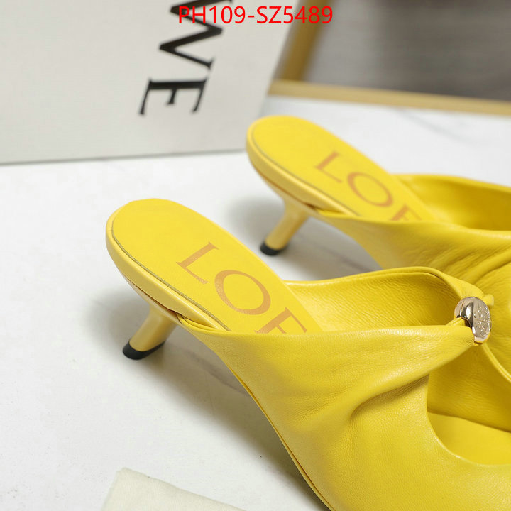 Women Shoes-Loewe best fake ID: SZ5489 $: 109USD