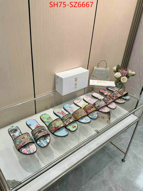 Women Shoes-Dior sale outlet online ID: SZ6667 $: 75USD
