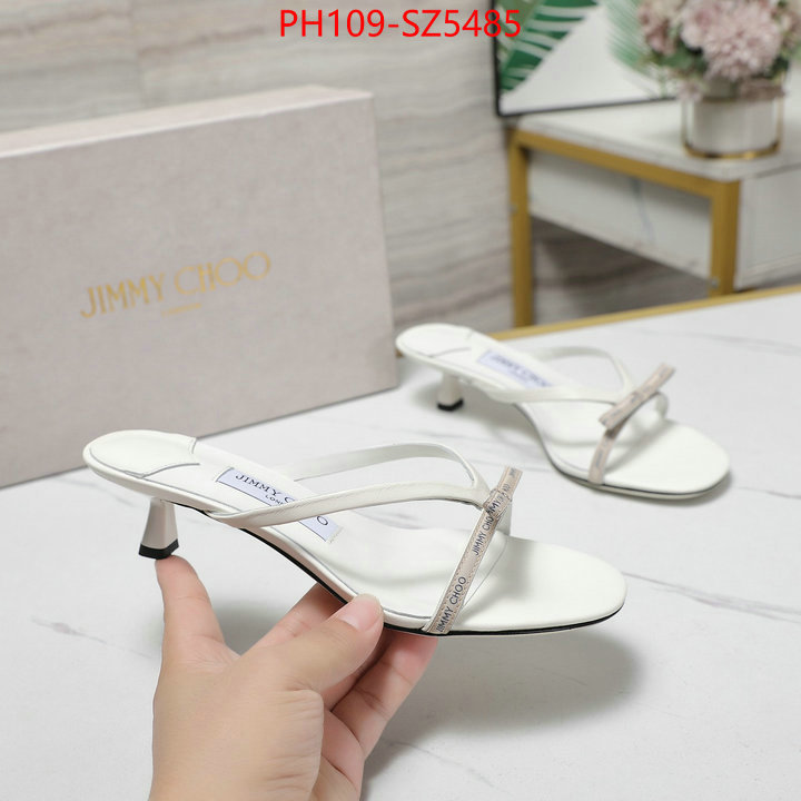 Women Shoes-Jimmy Choo shop the best high authentic quality replica ID: SZ5485 $: 109USD