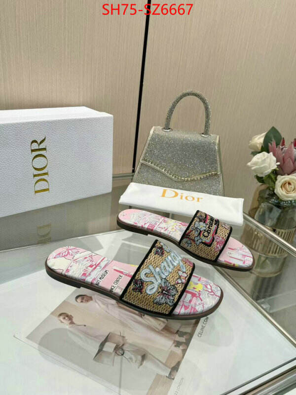 Women Shoes-Dior sale outlet online ID: SZ6667 $: 75USD