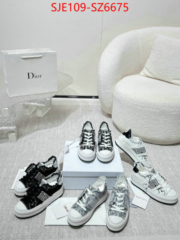 Women Shoes-Dior mirror copy luxury ID: SZ6675 $: 109USD