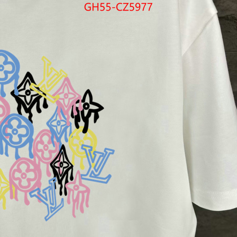 Clothing-LV aaaaa customize ID: CZ5977 $: 55USD