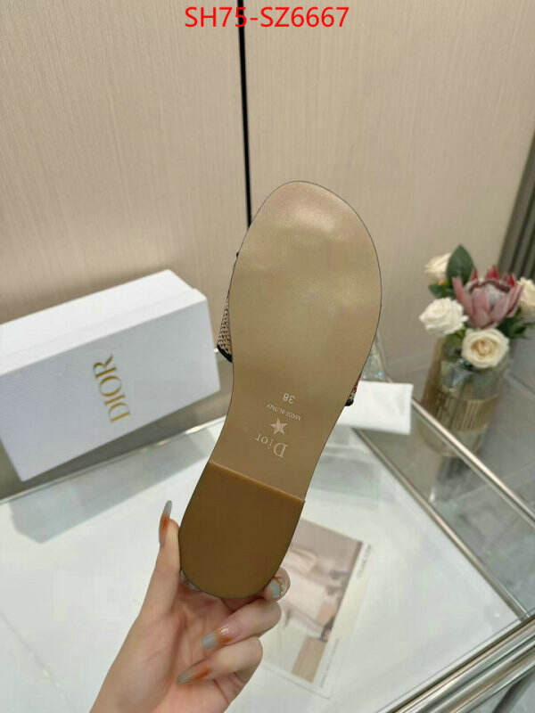 Women Shoes-Dior sale outlet online ID: SZ6667 $: 75USD