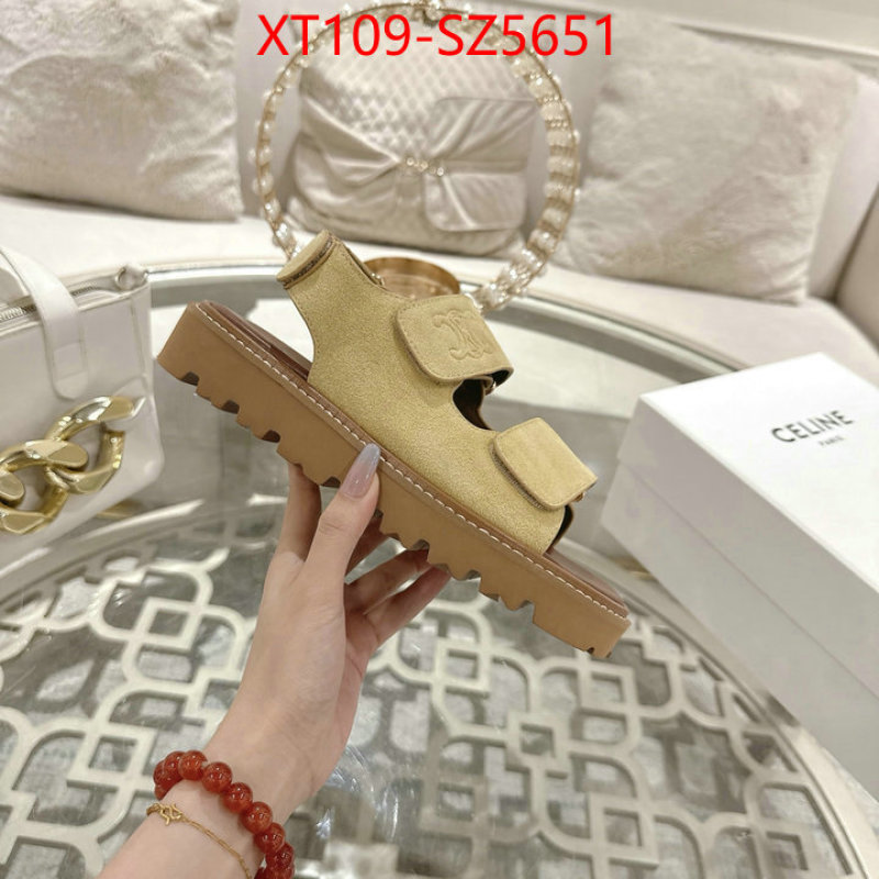Women Shoes-CELINE top fake designer ID: SZ5651 $: 109USD