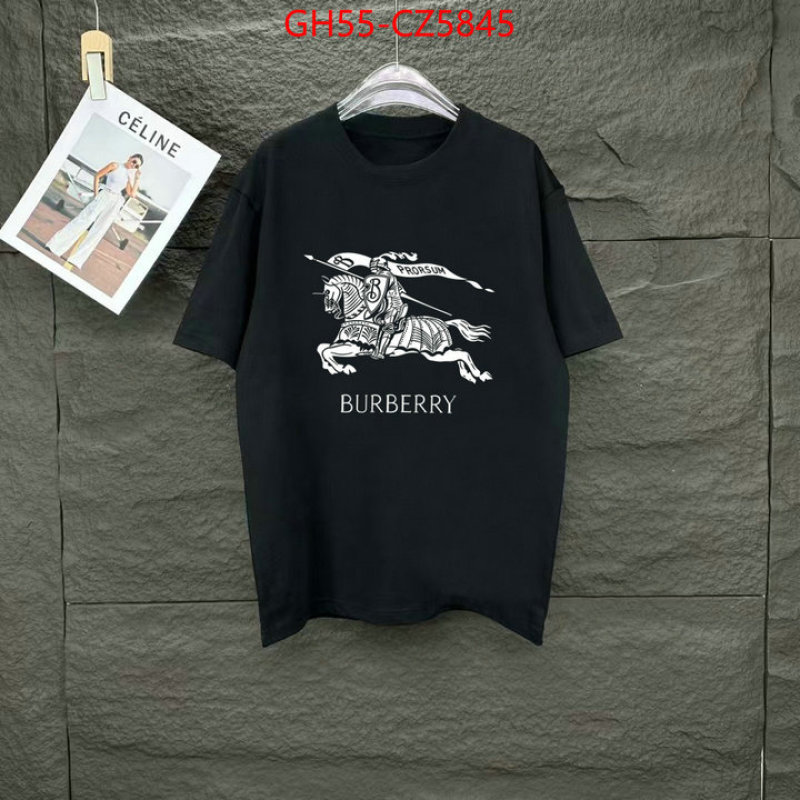 Clothing-Burberry copy aaaaa ID: CZ5845 $: 55USD