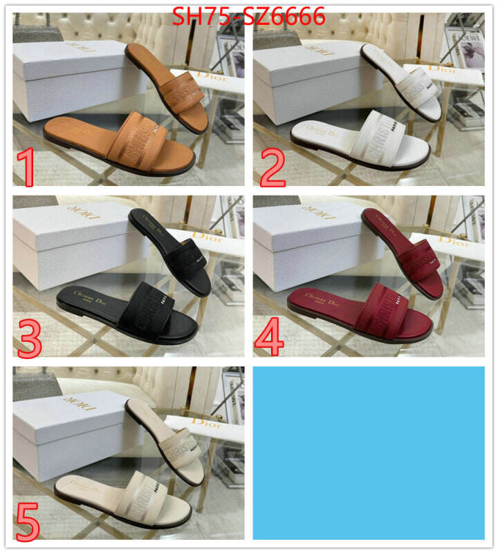 Women Shoes-Dior can you buy replica ID: SZ6666 $: 75USD