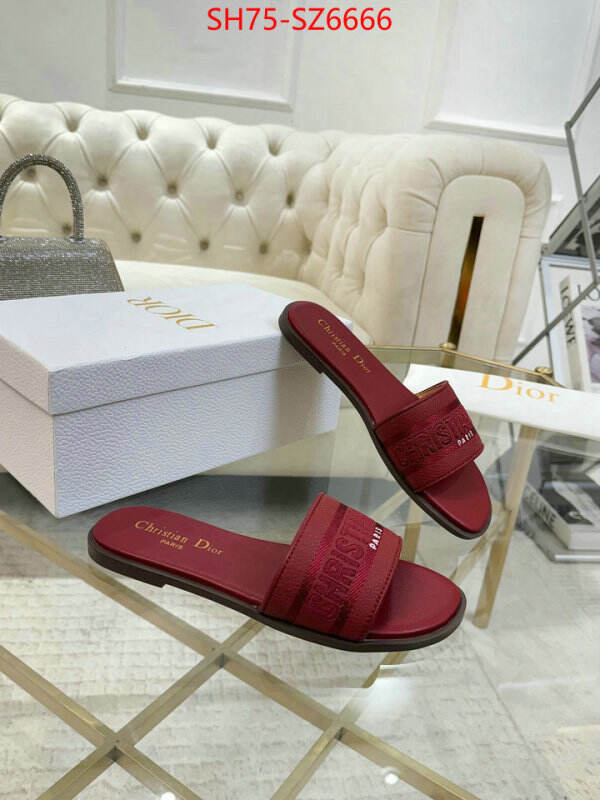 Women Shoes-Dior can you buy replica ID: SZ6666 $: 75USD