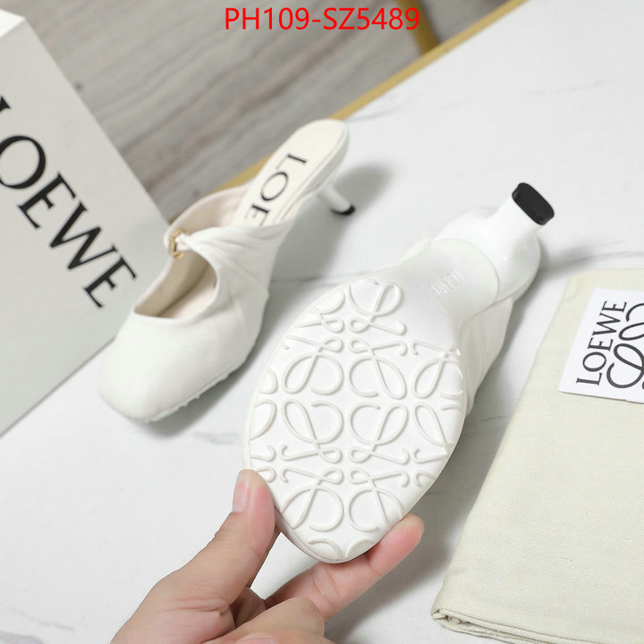Women Shoes-Loewe best fake ID: SZ5489 $: 109USD