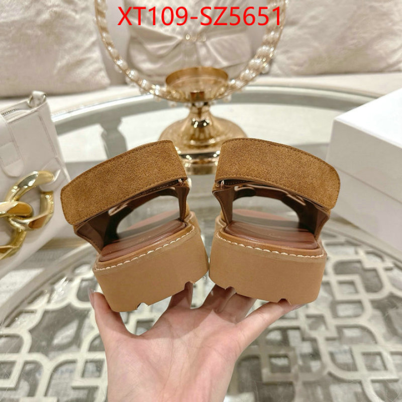 Women Shoes-CELINE top fake designer ID: SZ5651 $: 109USD