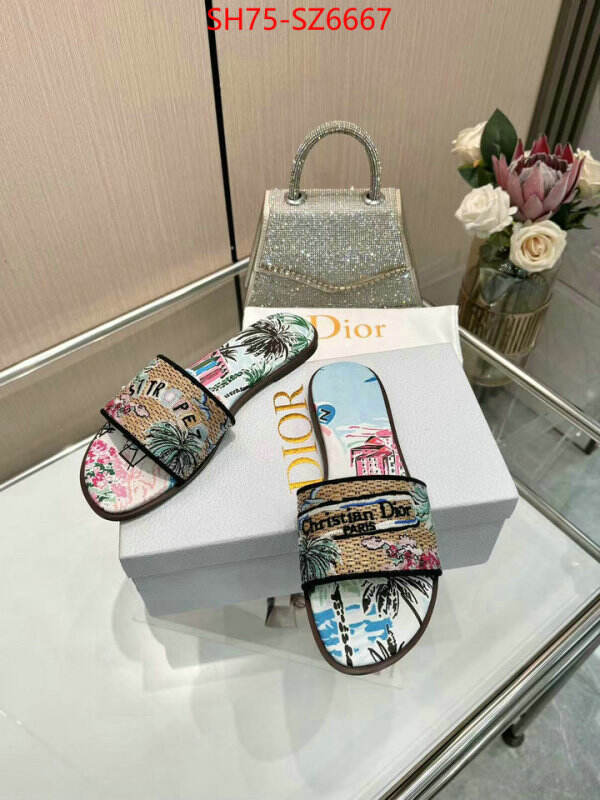 Women Shoes-Dior sale outlet online ID: SZ6667 $: 75USD