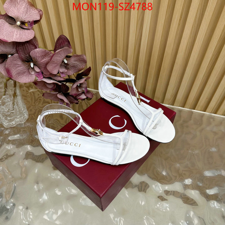 Women Shoes-Gucci 2024 luxury replicas ID: SZ4788 $: 119USD
