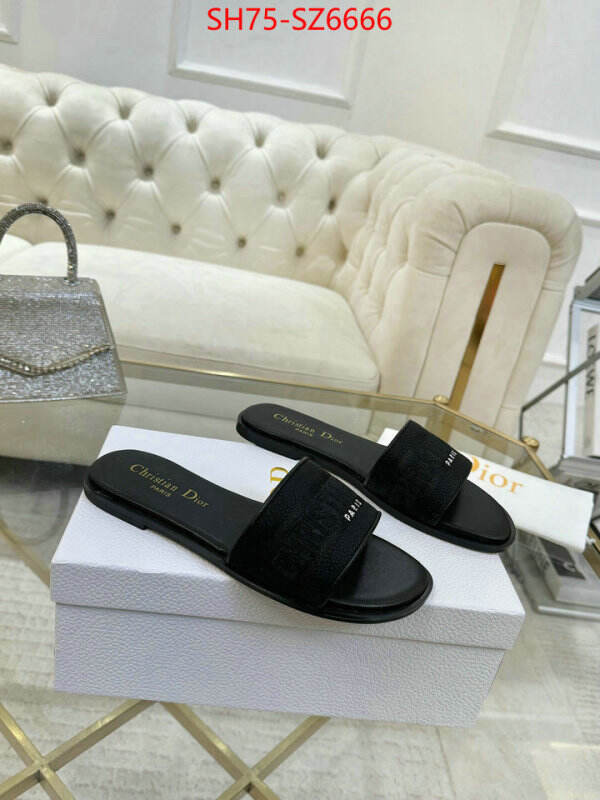 Women Shoes-Dior can you buy replica ID: SZ6666 $: 75USD