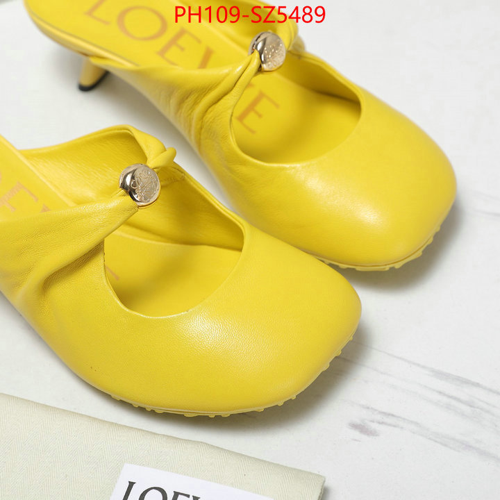 Women Shoes-Loewe best fake ID: SZ5489 $: 109USD