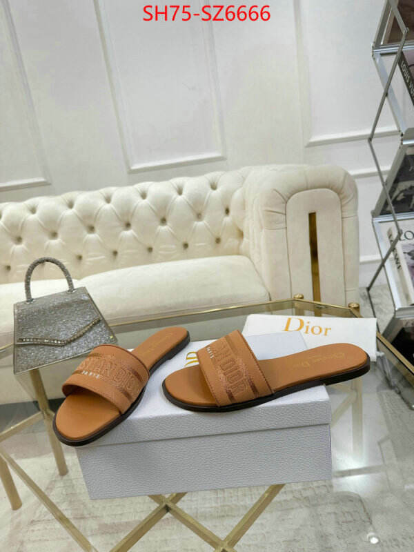 Women Shoes-Dior can you buy replica ID: SZ6666 $: 75USD