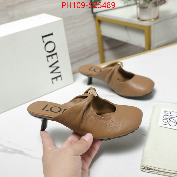 Women Shoes-Loewe best fake ID: SZ5489 $: 109USD