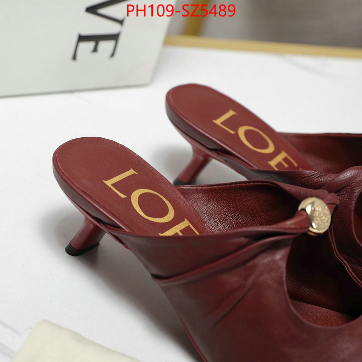 Women Shoes-Loewe best fake ID: SZ5489 $: 109USD