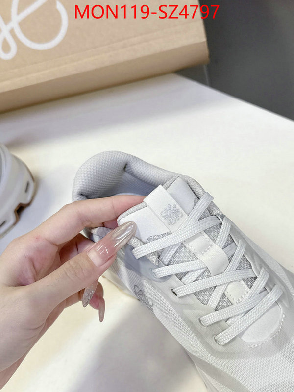 Women Shoes-Loewe online ID: SZ4797 $: 119USD