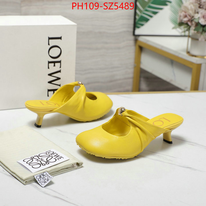 Women Shoes-Loewe best fake ID: SZ5489 $: 109USD