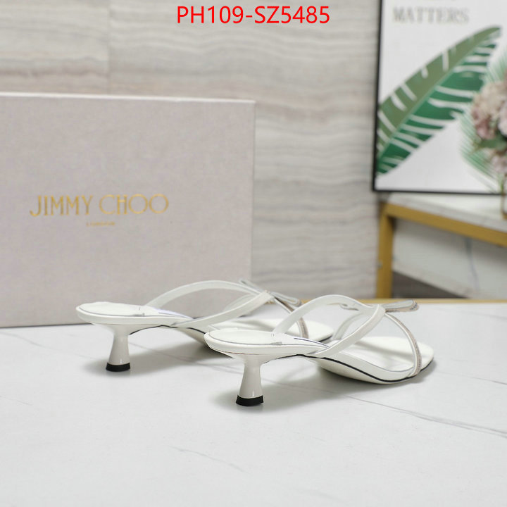 Women Shoes-Jimmy Choo shop the best high authentic quality replica ID: SZ5485 $: 109USD