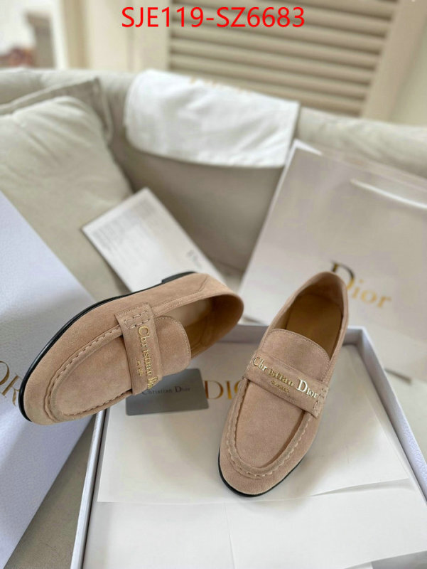 Women Shoes-Dior online shop ID: SZ6683 $: 119USD