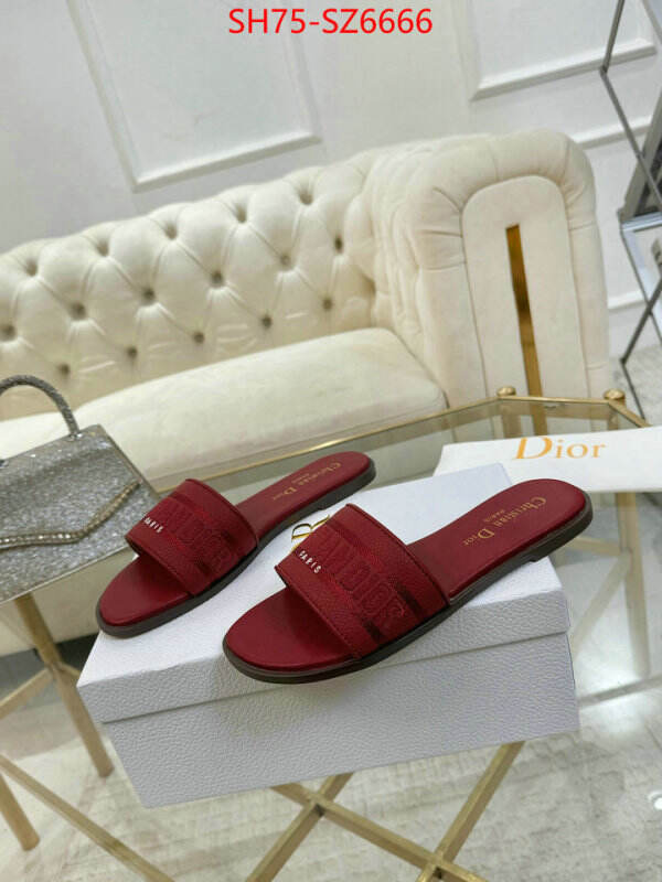 Women Shoes-Dior can you buy replica ID: SZ6666 $: 75USD