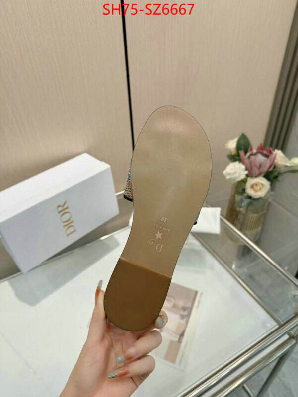 Women Shoes-Dior sale outlet online ID: SZ6667 $: 75USD