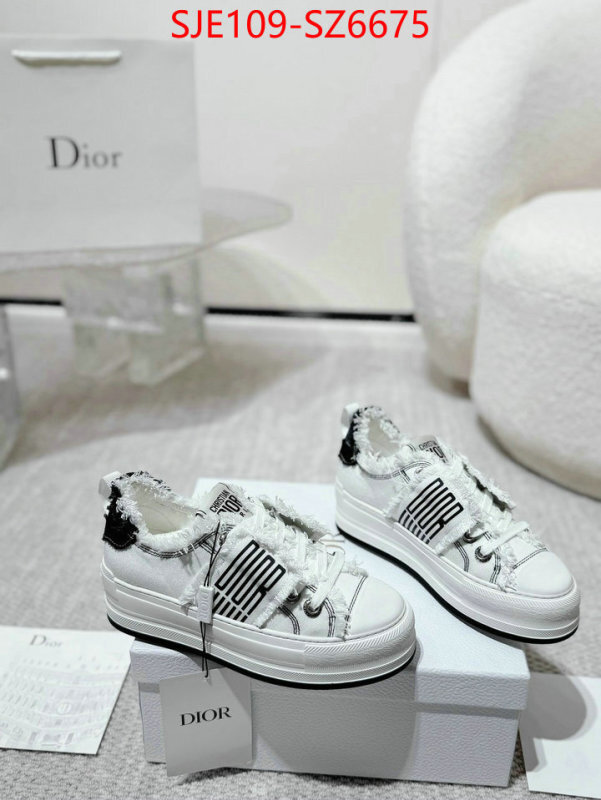 Women Shoes-Dior mirror copy luxury ID: SZ6675 $: 109USD
