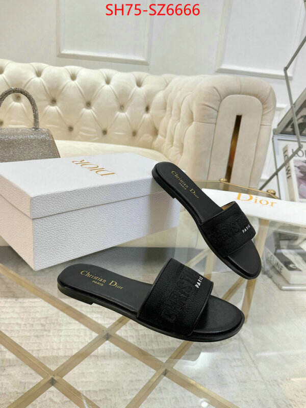 Women Shoes-Dior can you buy replica ID: SZ6666 $: 75USD