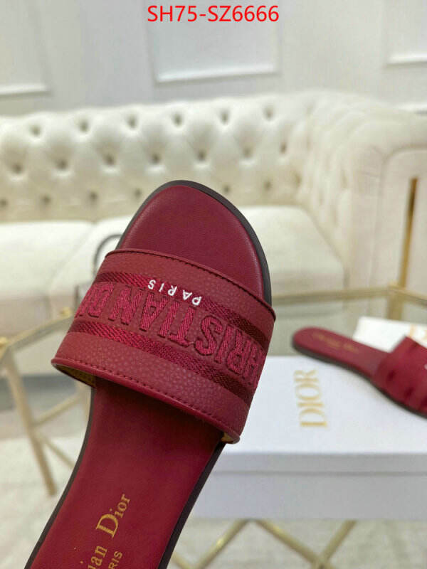 Women Shoes-Dior can you buy replica ID: SZ6666 $: 75USD