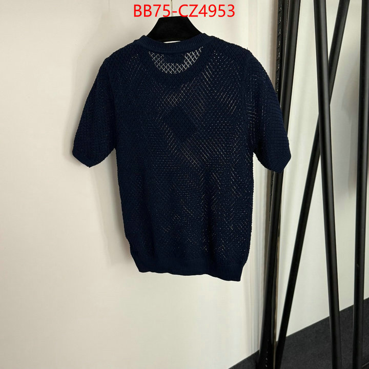 Clothing-MIU MIU cheap wholesale ID: CZ4953 $: 75USD