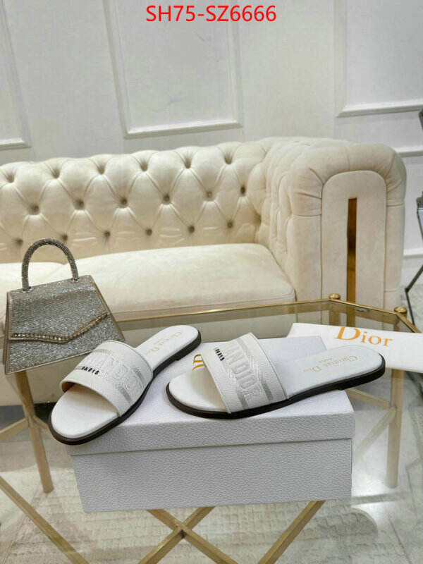 Women Shoes-Dior can you buy replica ID: SZ6666 $: 75USD
