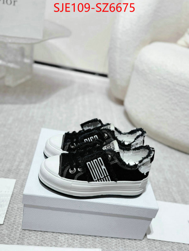 Women Shoes-Dior mirror copy luxury ID: SZ6675 $: 109USD