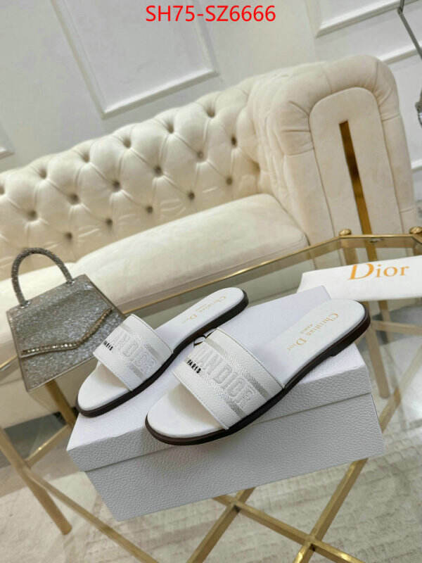 Women Shoes-Dior can you buy replica ID: SZ6666 $: 75USD