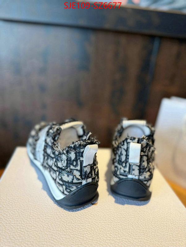 Women Shoes-Dior how to start selling replica ID: SZ6677 $: 109USD