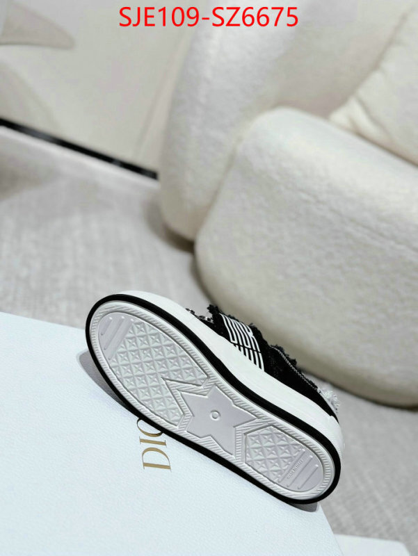 Women Shoes-Dior mirror copy luxury ID: SZ6675 $: 109USD