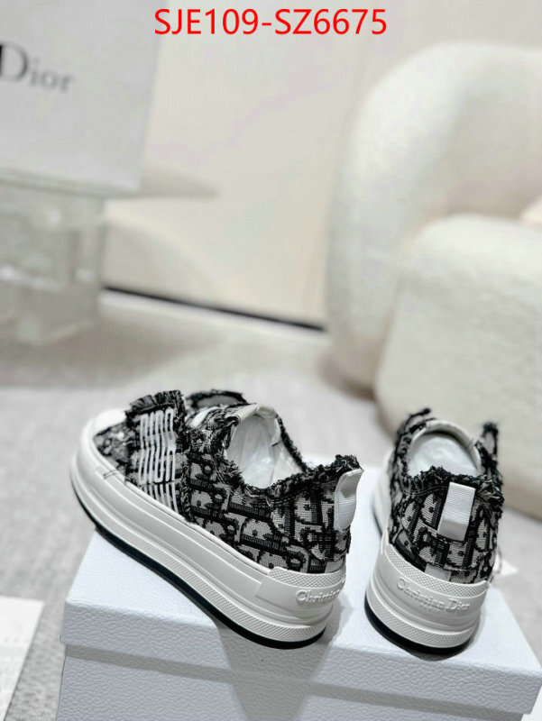 Women Shoes-Dior mirror copy luxury ID: SZ6675 $: 109USD