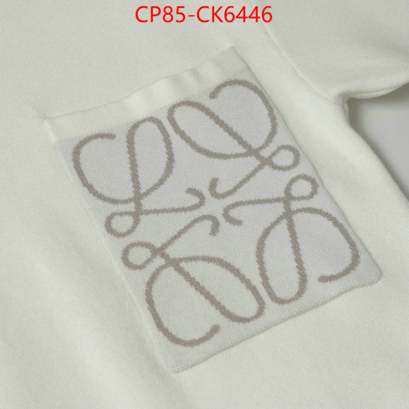 Clothing-Loewe shop ID: CK6446 $: 85USD