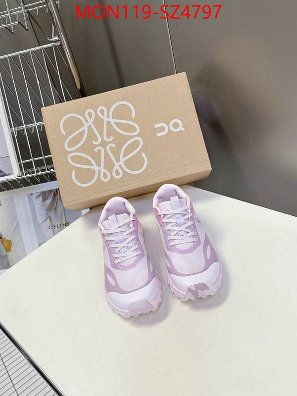 Women Shoes-Loewe online ID: SZ4797 $: 119USD