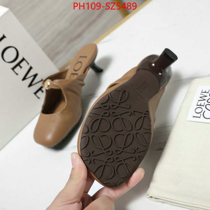 Women Shoes-Loewe best fake ID: SZ5489 $: 109USD