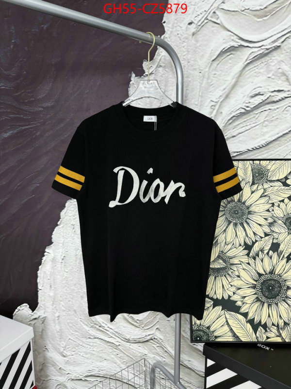 Clothing-Dior 7 star quality designer replica ID: CZ5879 $: 55USD