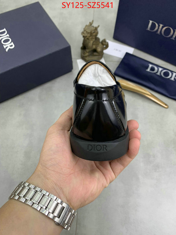 Men shoes-Dior buy top high quality replica ID: SZ5541 $: 125USD