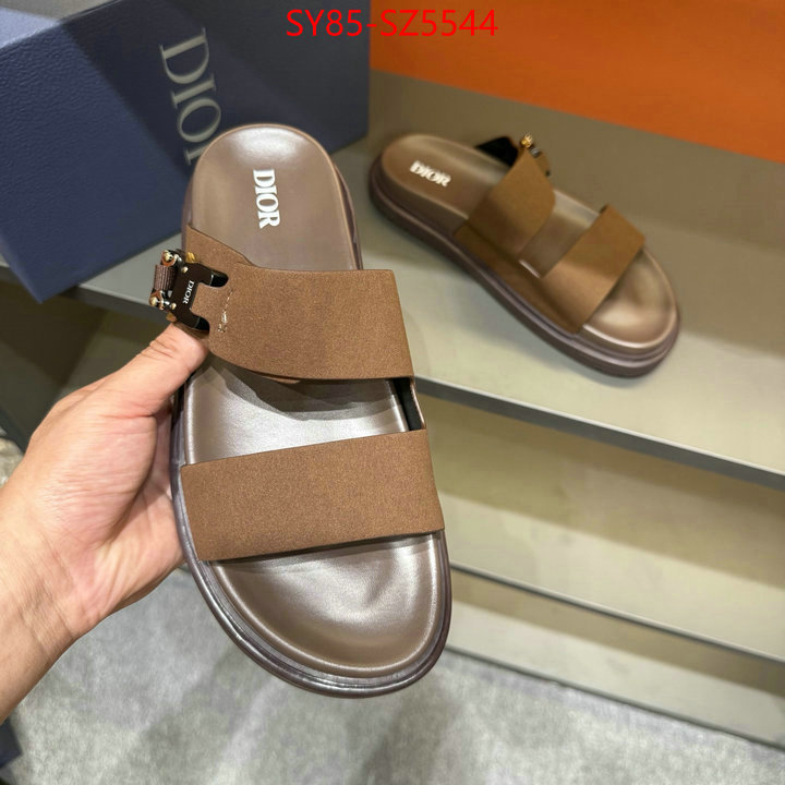 Men shoes-Dior copy aaaaa ID: SZ5544 $: 85USD
