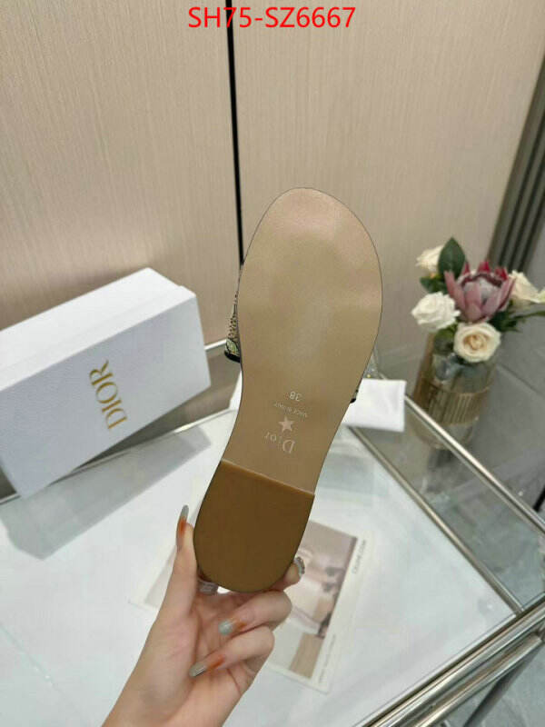 Women Shoes-Dior sale outlet online ID: SZ6667 $: 75USD