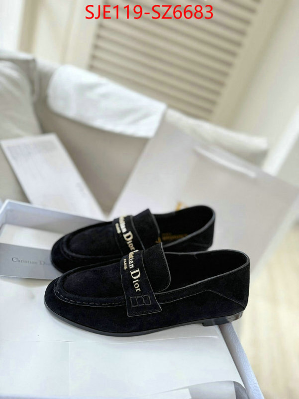 Women Shoes-Dior online shop ID: SZ6683 $: 119USD