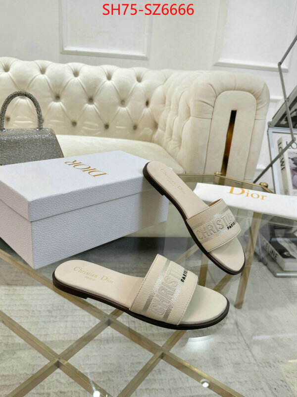 Women Shoes-Dior can you buy replica ID: SZ6666 $: 75USD