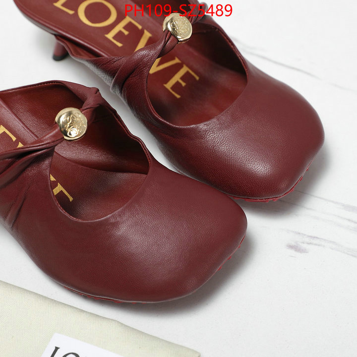 Women Shoes-Loewe best fake ID: SZ5489 $: 109USD