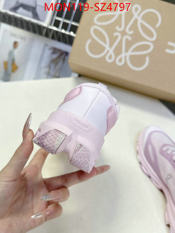 Women Shoes-Loewe online ID: SZ4797 $: 119USD