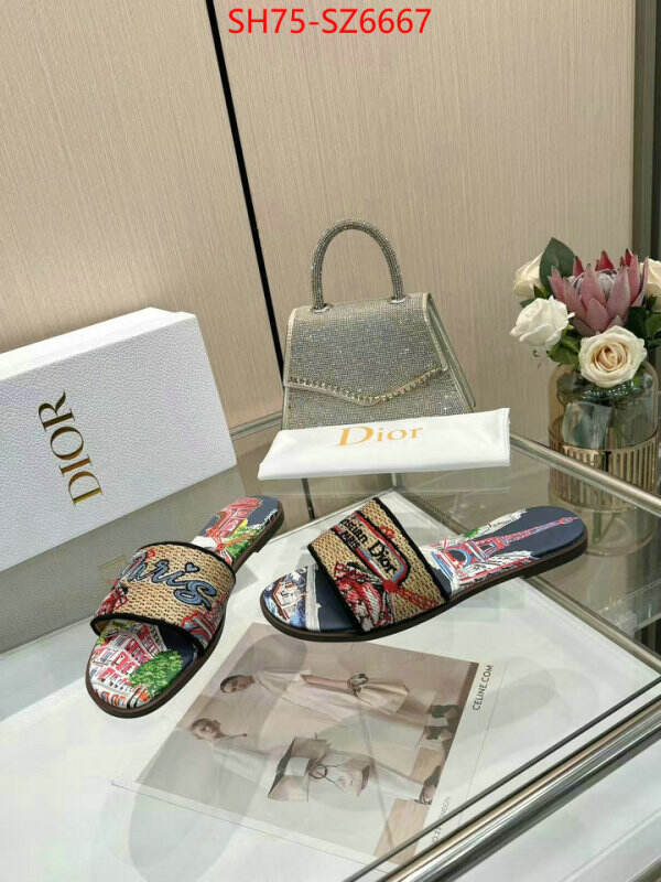 Women Shoes-Dior sale outlet online ID: SZ6667 $: 75USD