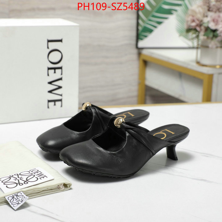 Women Shoes-Loewe best fake ID: SZ5489 $: 109USD