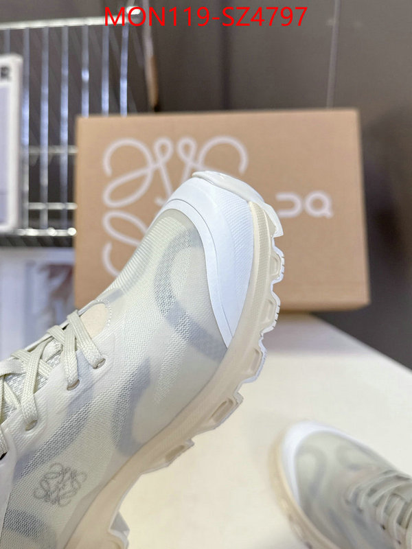 Women Shoes-Loewe online ID: SZ4797 $: 119USD